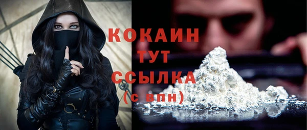 прущие грибы Абдулино