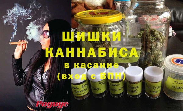 прущие грибы Абдулино