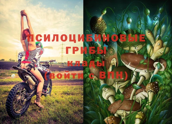 прущие грибы Абдулино