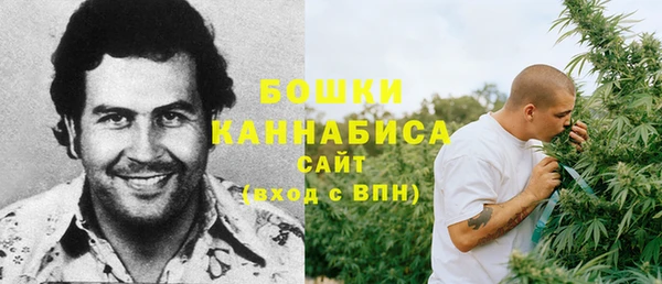 прущие грибы Абдулино