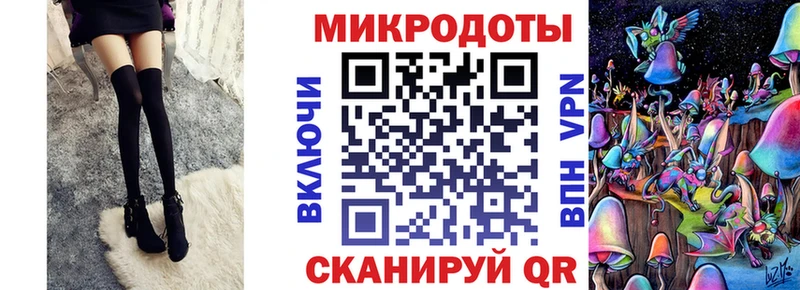 Галлюциногенные грибы Psilocybine cubensis  Вытегра 