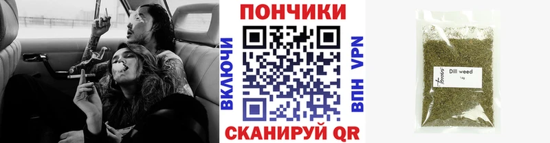 Бошки марихуана Bruce Banner  магазин продажи наркотиков  Вытегра 